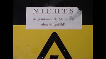 Deutsche Milf Genießt Analsex Im Freien